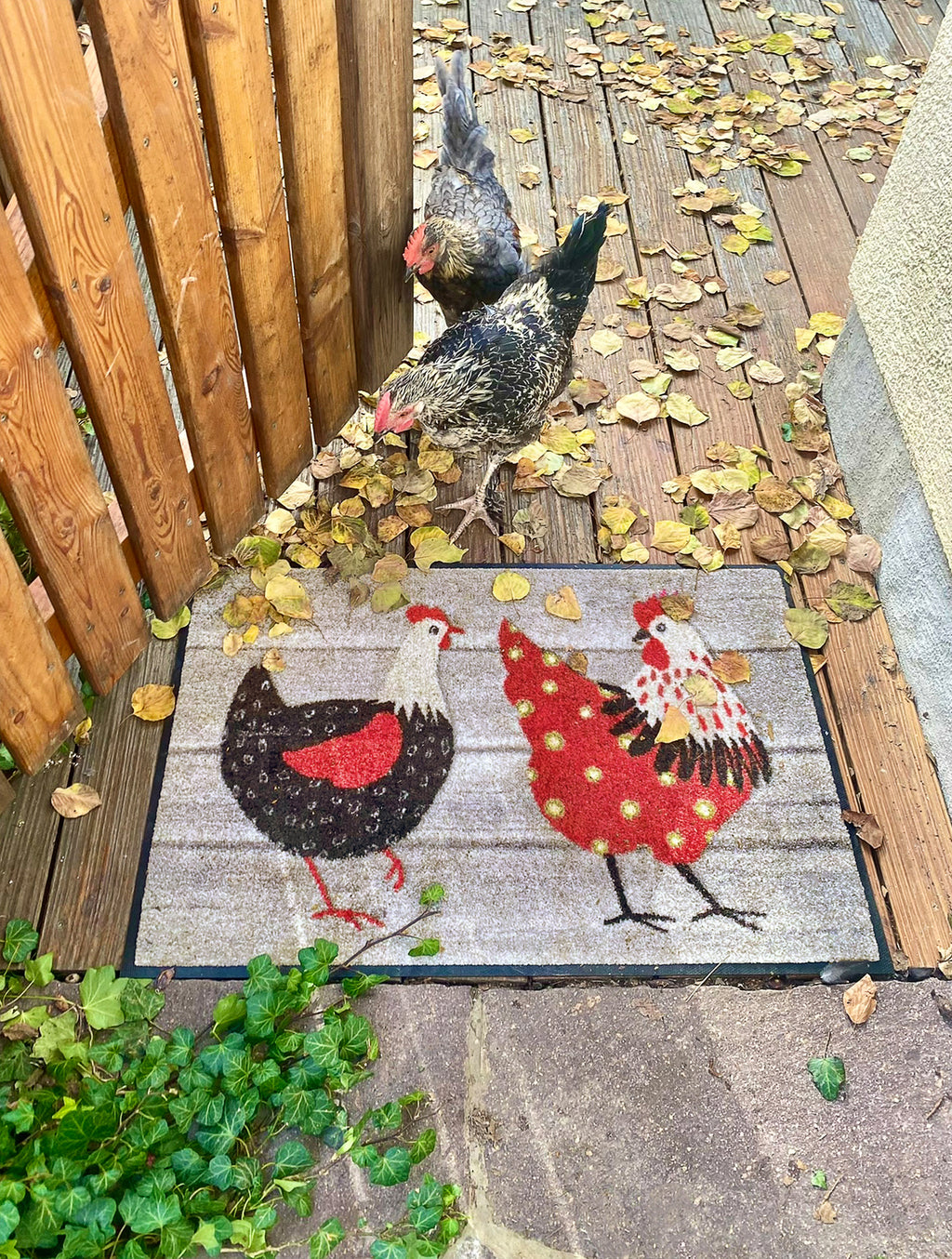 Chicken Farm 50x75 cm