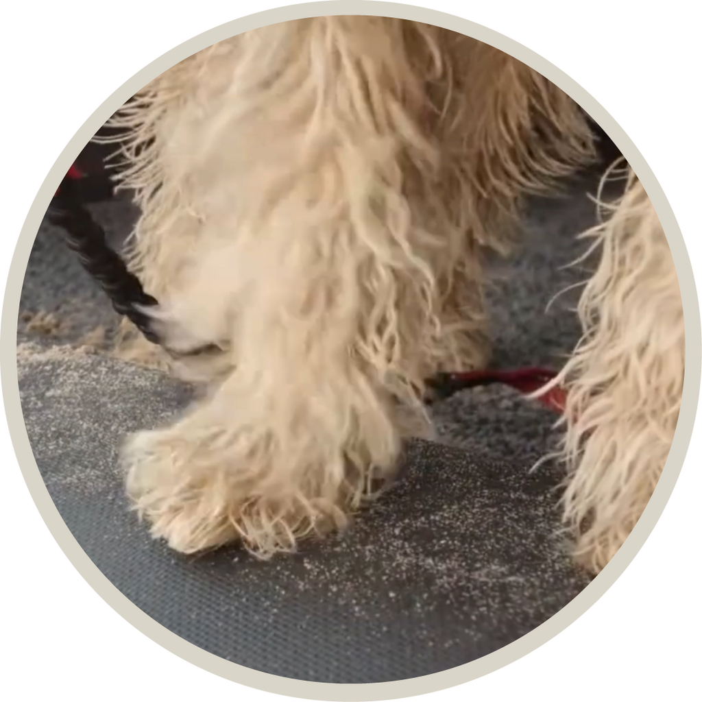 LogoMåtte, Reklamemåtte, Bagagerumsmåtte, Beskyttelse kofanger, hundemåtte, måtte til bil