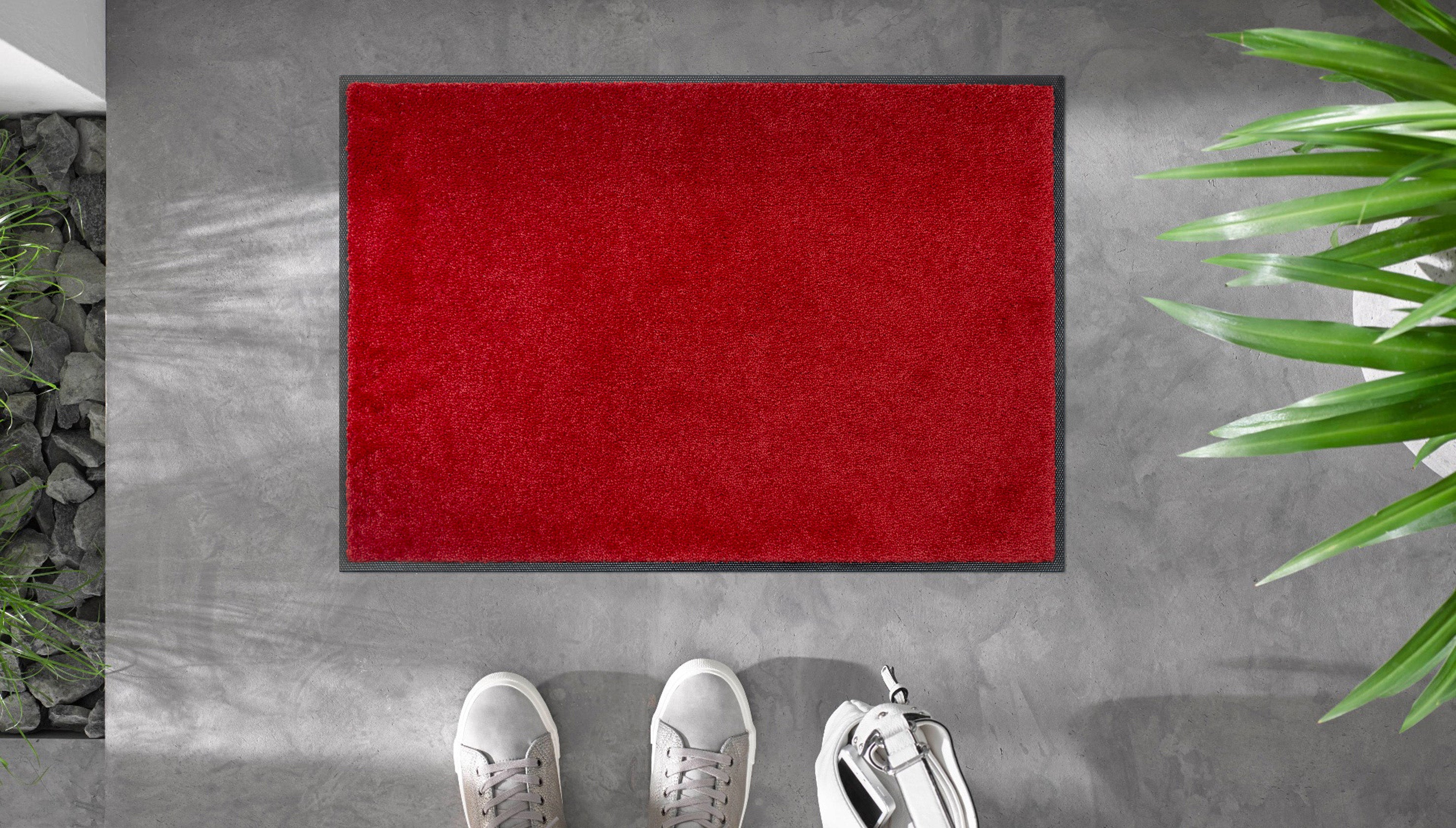 Regal Red 40x60 cm
