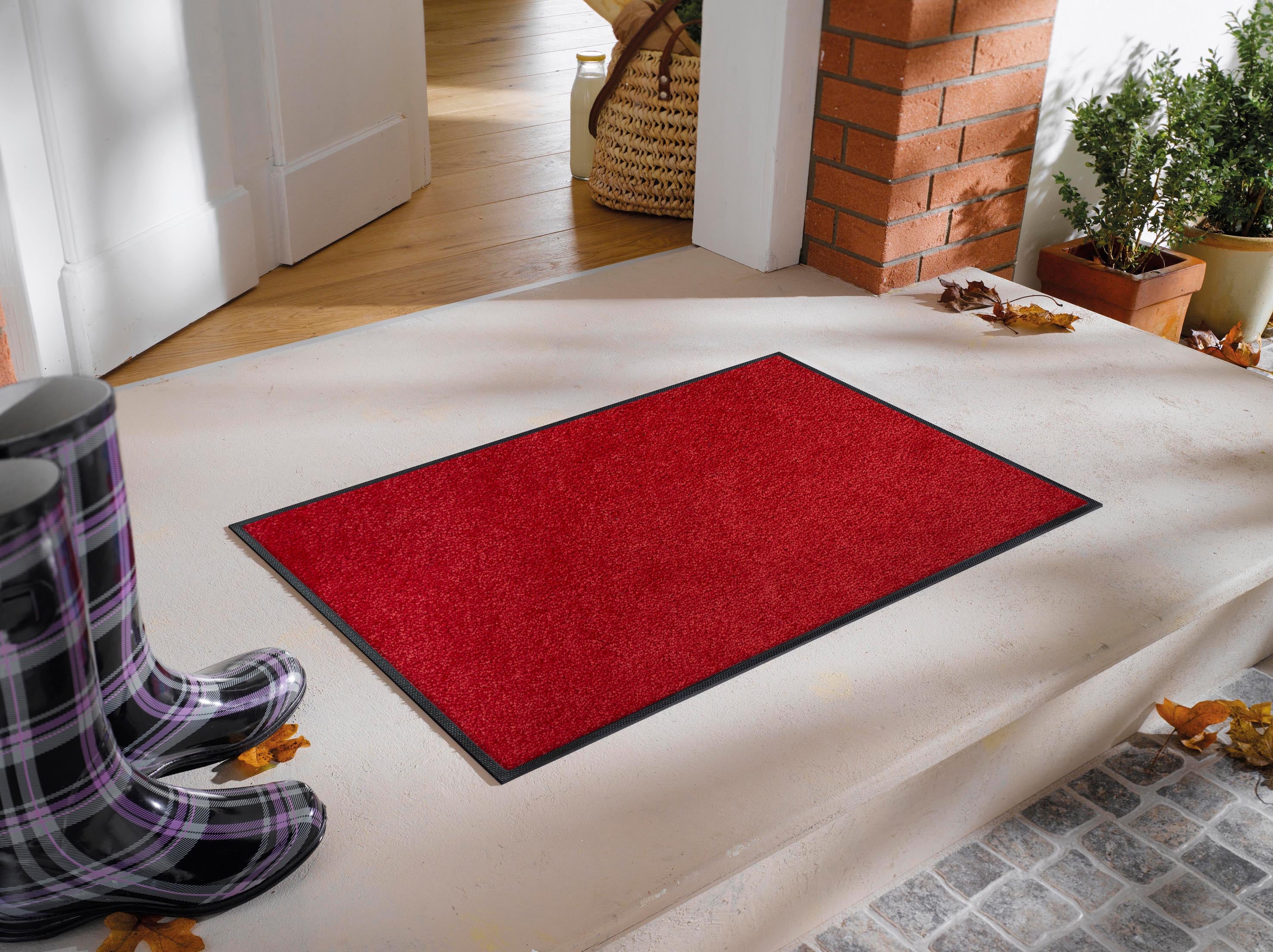 Regal Red 60x90 cm