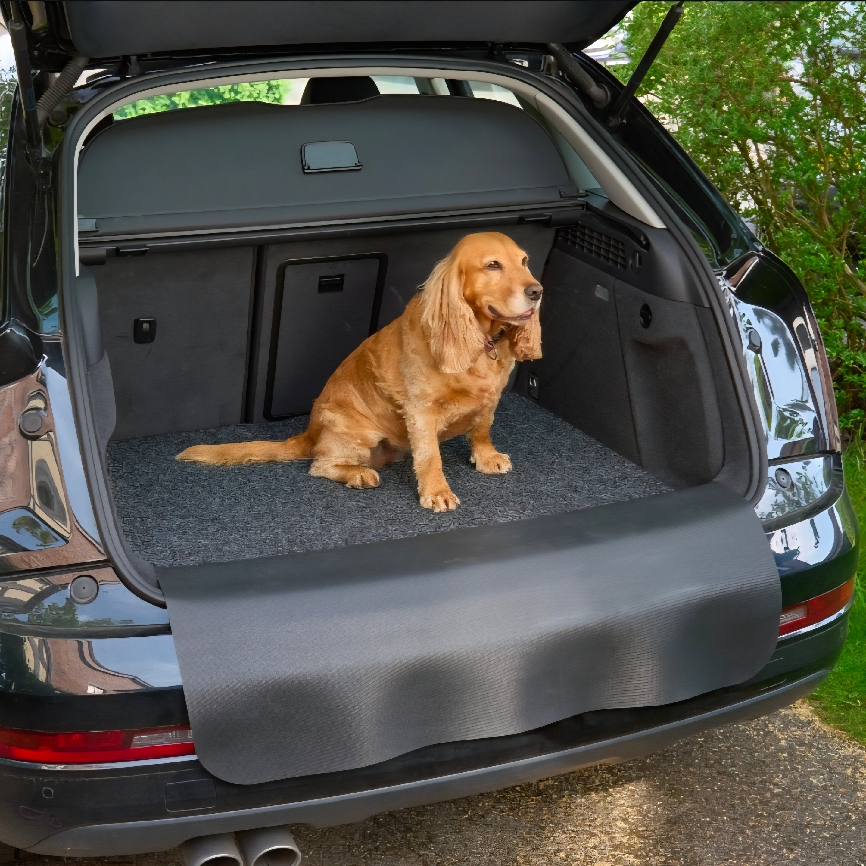 Logomåtte CarProtect